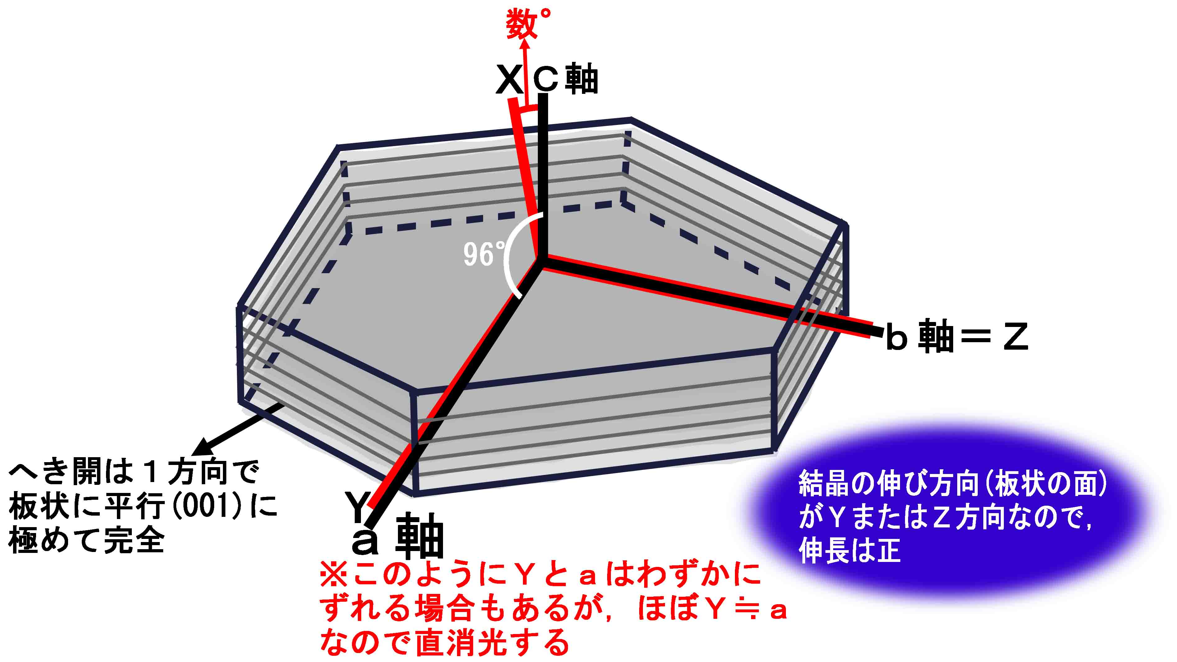 ジーククローネ　サイン　顕現する力恵美 EPISODES｜アニメ『僕のヒーローアカデミア』